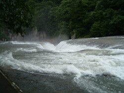 �����̑�