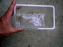 �J�}�L���Q