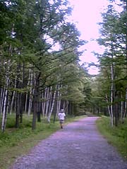 ���m�΂̋A�蓹