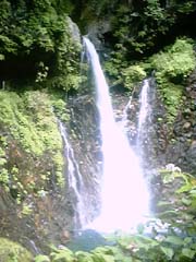 �����̑�