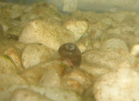 �^�j�V�q��